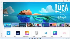 Microsoft Store