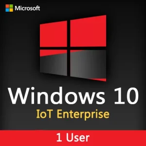 Windows 10 IoT Enterprise 1 user