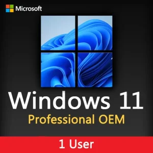 Windows 11 Pro OEM System Builder