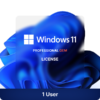 Windows 11 Professional OEM