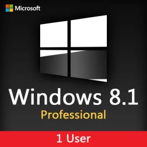 Windows 8.1 pro 1 user